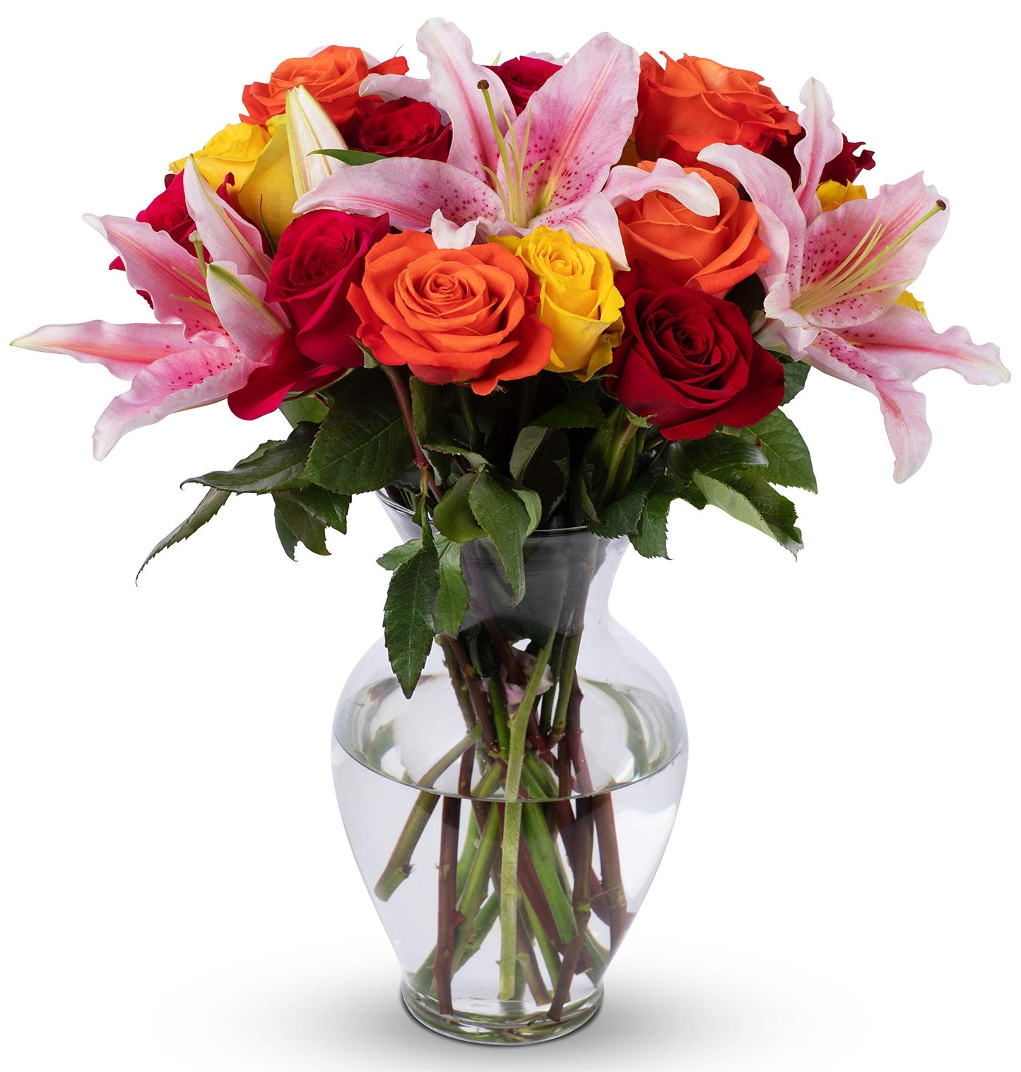 Benchmark Bouquets, Big Blooms, Glass Vase Included, Gift Fresh Flowers For Birthday, Anniversary, Get Well, Sympathy, Congratul