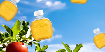 Martinellis Apple Juice Premium. 100% Pure Juice | 10 Fl Oz Pet Bottles | Pack Of 24