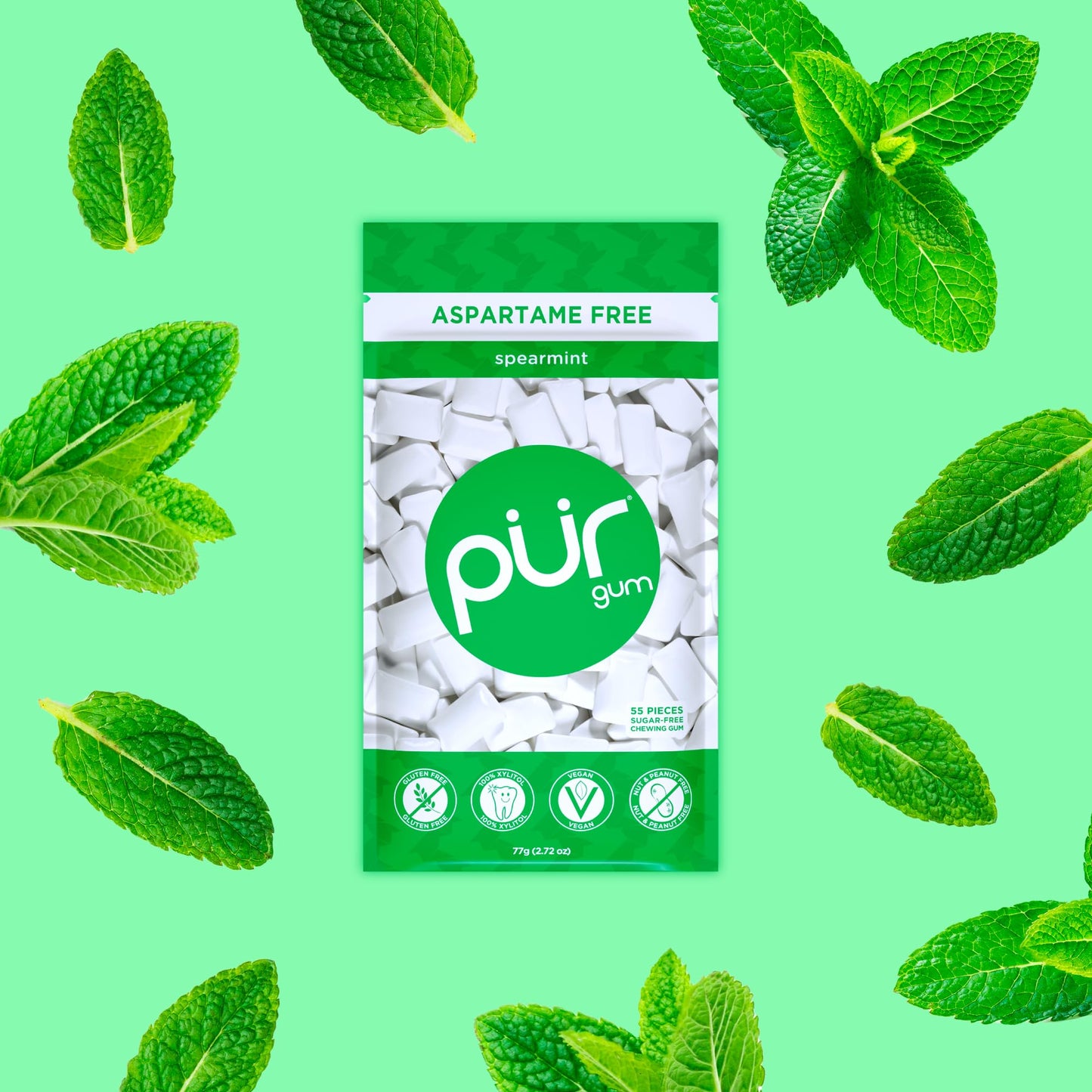 Pur Gum | Aspartame Free Chewing Gum | 100% Xylitol | Natural Spearmint Flavored Gum, 55 Pieces (Pack Of 12)