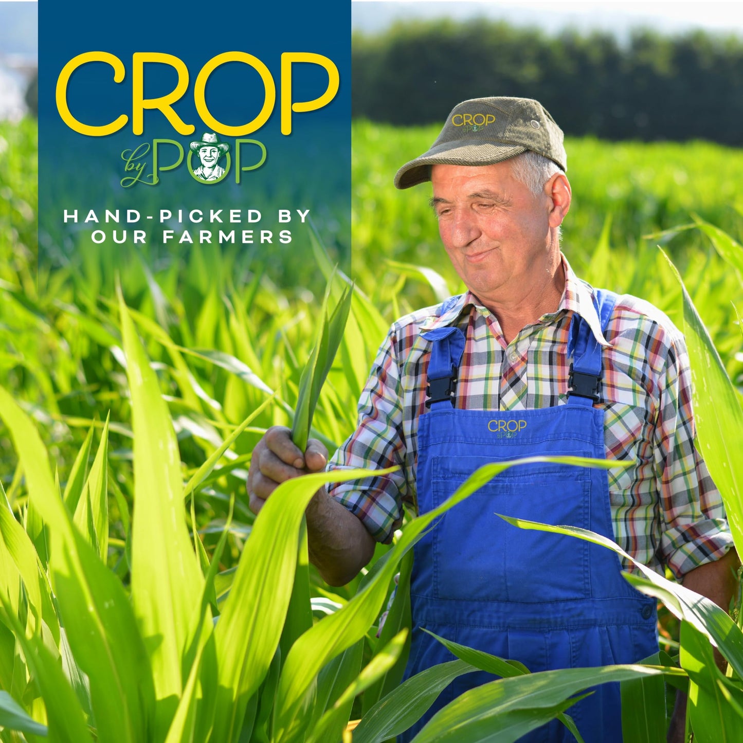 CROP BY POP - Organic Raw Walnuts Halves & Pieces, (32 Oz - 2 LB) USDA Organic & Non GMO Certified - Plant Based, Vegan, Kosher