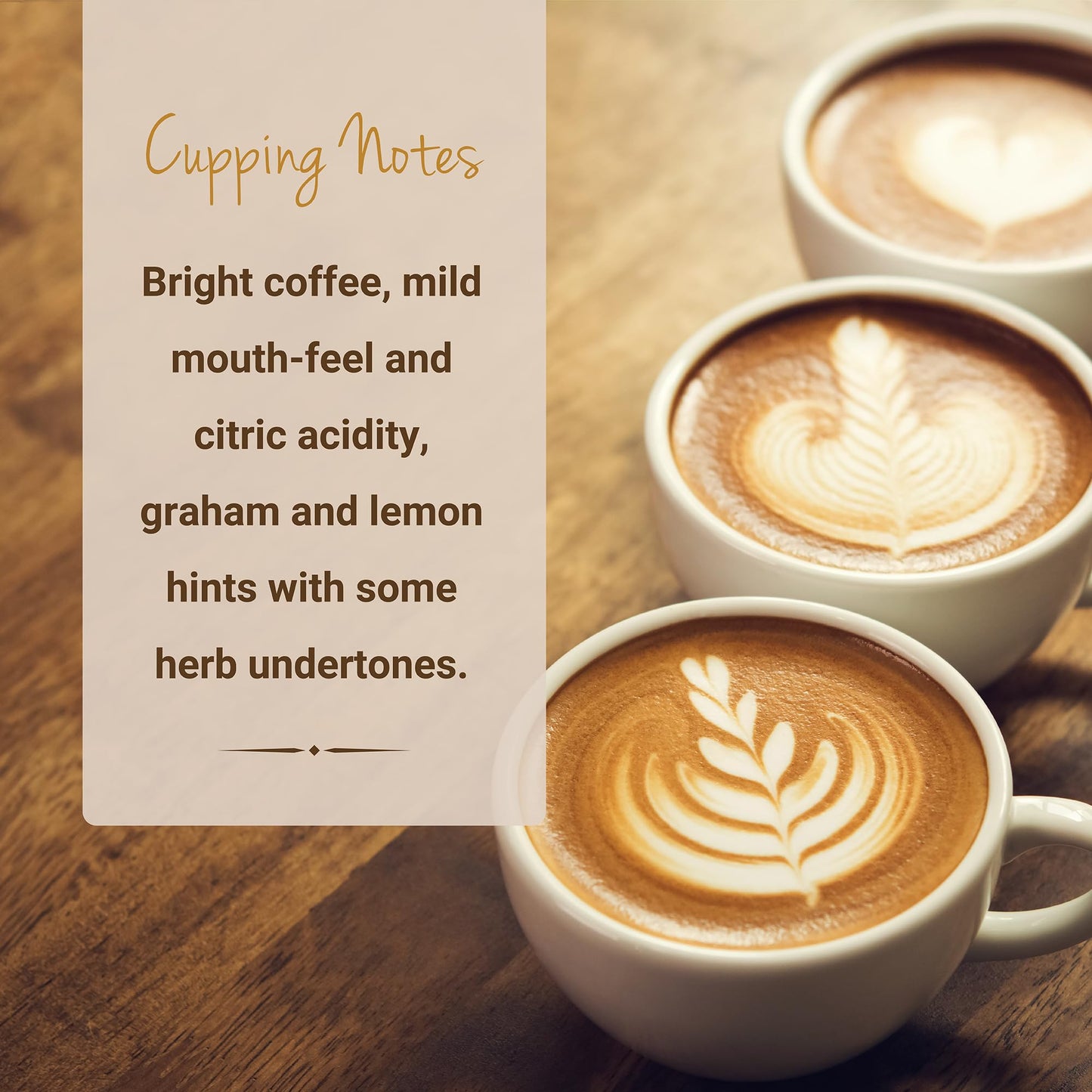 Guatemalan Coffee, Whole Bean Coffee, Premium Guatemala Antigua Single Origin Fresh Roasted Coffee Beans | Cubico Coffee | 12 Ounce Bag