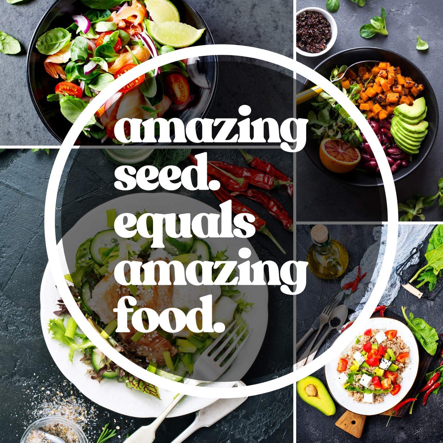 Mung Bean Sprouting Seed: 1 Lb - Organic, Non-Gmo - Handy Pantry Brand - Dried Mung Beans For Sprouts, Garden Planting, Chinese & Asian Cooking, Soup & More