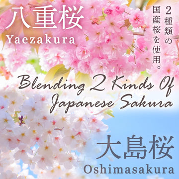 Sakura Latte -Creamy And Aromatic Foam- Using Japanese Cherry Blossom 100%, 3.5Oz, Made In Japan,Sold By Japanese Company ?Yamas