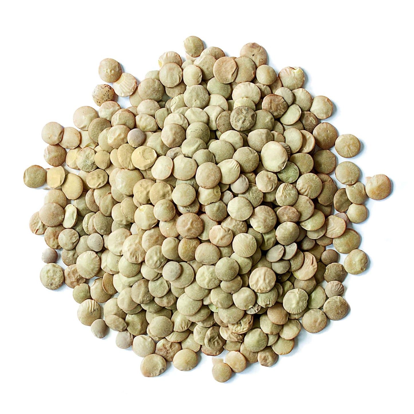 Food to Live Organic Whole Green Lentils, 5 Pounds - Non-GMO, Dried Raw Beans, Sproutable, Vegan, Kosher, High in Folate, Dietar