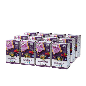 Nature's Path Organic Frosted Wildberry Acai Toaster Pastries, 11 Ounce (Pack of 12), Non-GMO, Made From Real Acai