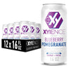 XYIENCE Energy Drink Blueberry Pomegranate Sugar Free 16 Fl Oz Pack of 12