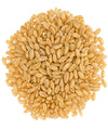 Mader Family Farmed Hard White Wheat Berries: Palouse Brand, Non-Gmo, Kosher, Bulk