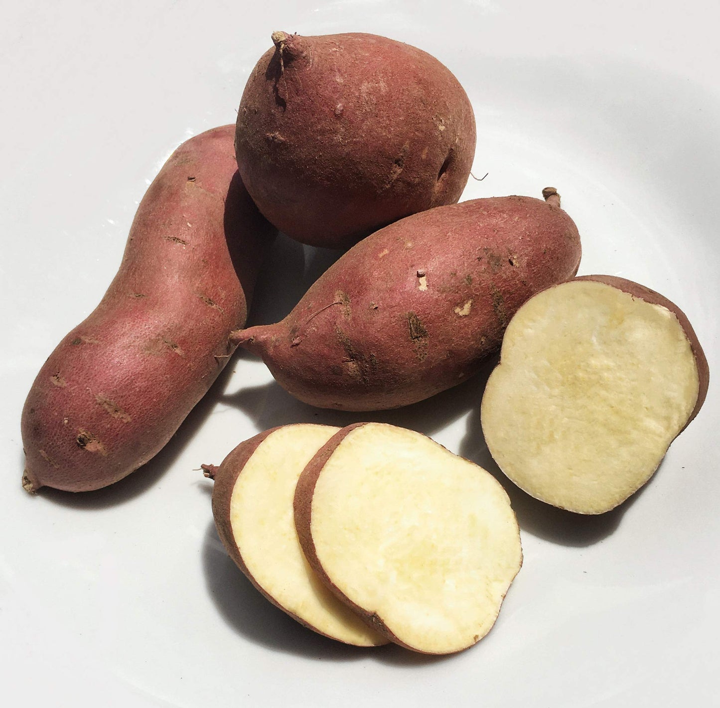 Kejora Japanese White Sweet Potatoes - 10 Lbs