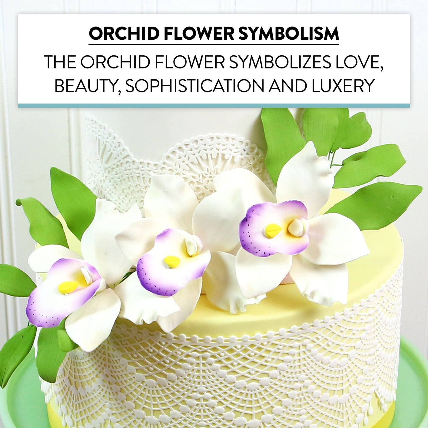 Global Sugar Art Pearly Orchid Sugar Cake Flowers, Large White With Purple, 4 Count By Chef Alan Tetreault