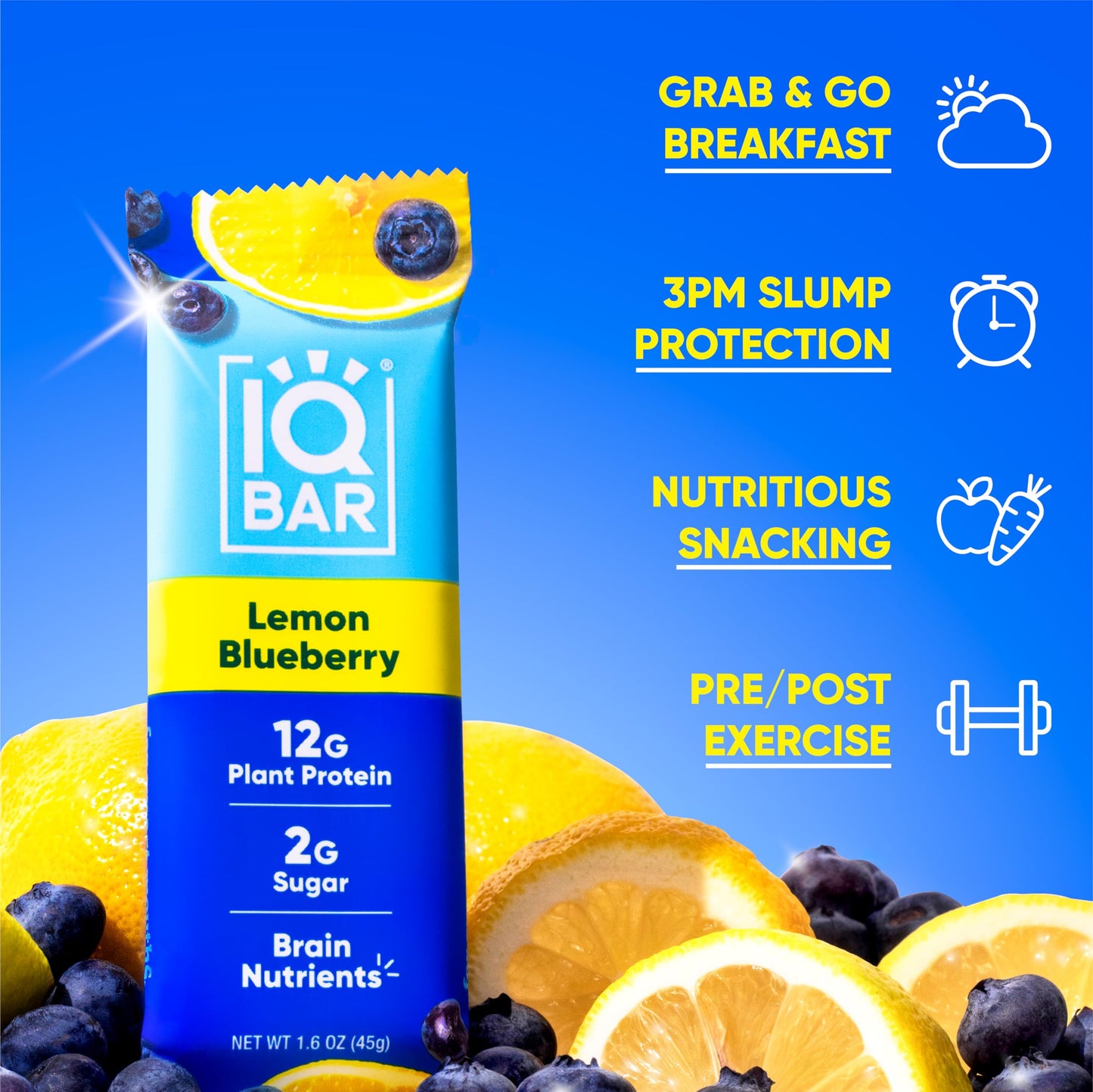 IQBAR Brain and Body Plant Protein Bars - Lemon Blueberry - 12-Count Low Carb - Gluten Free, High Fiber, Vegan Snacks - Low Suga