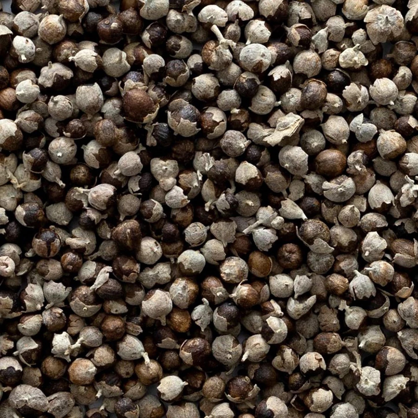 Frontier Co-Op Chaste Tree Berries Whole, Certified Organic, Kosher | 1 Lb. Bulk Bag | Vitex Agnus-Castus L.