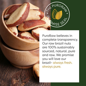 PuroRaw Brazil Nuts Raw 1lb Raw Brazil Nuts. Brazil Nuts Unsalted - Brazil Nuts- All Natural Non-GMO Vegan Brazil Nuts- Brazil Nuts Bulk 16oz
