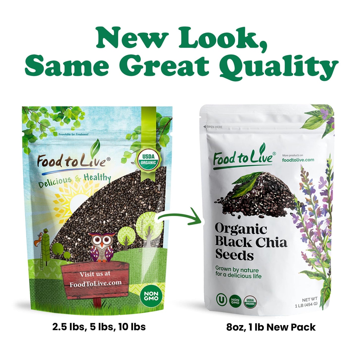 Food to Live - Organic Black Chia Seeds, 1 Pound Non-GMO, Whole, Sproutable, Vegan, Kosher, Keto, Sirtfood, Bulk. Rich in Essent