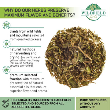 100 Bags Dried Lemon Balm Herb Frontier Loose Lemon Balm Tea (Melissa Officinalis Tea) - 100 Count 1.5 G Bags Melissa Herb Te De