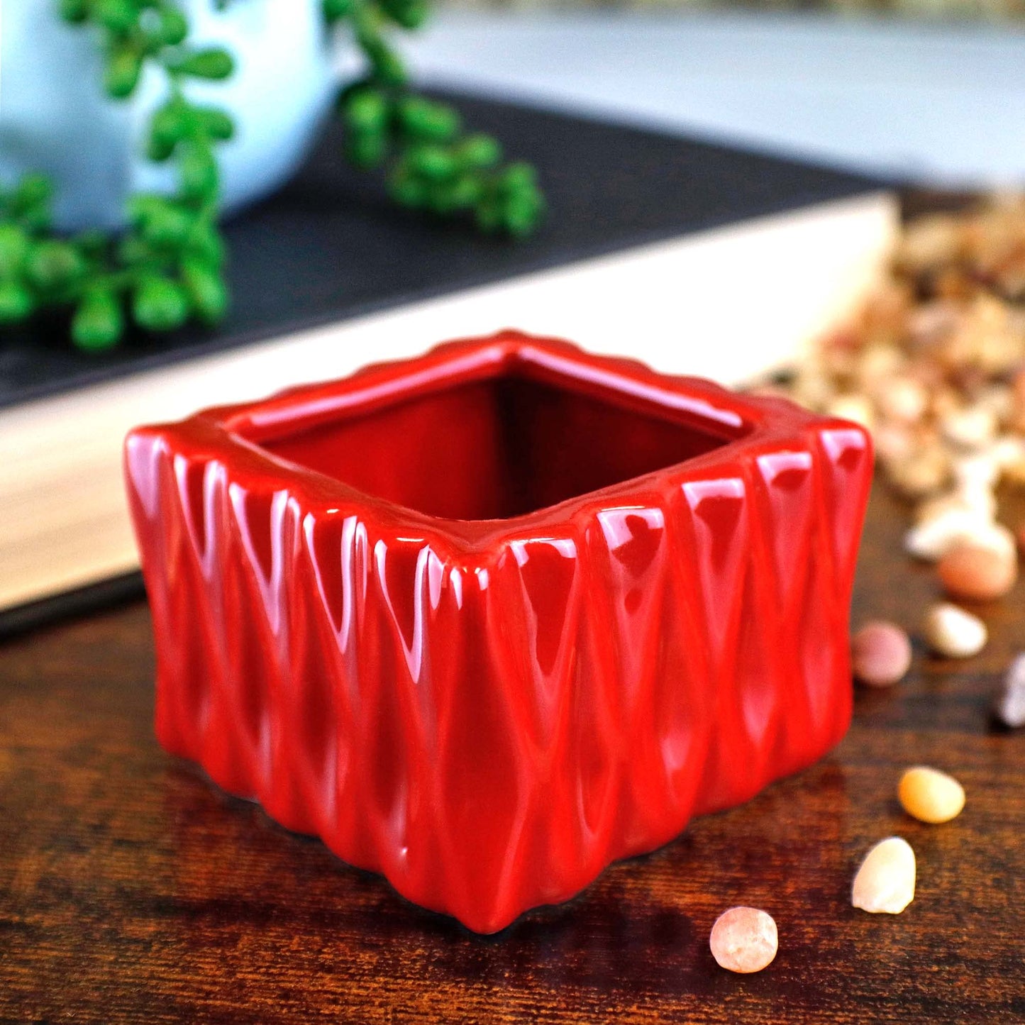 Set Of Ten Live Lucky Bamboo 2 Stalk Arrangements In Red Square Ceramic Planters - Inch Lucky Bamboo Indoor Potted House Plants