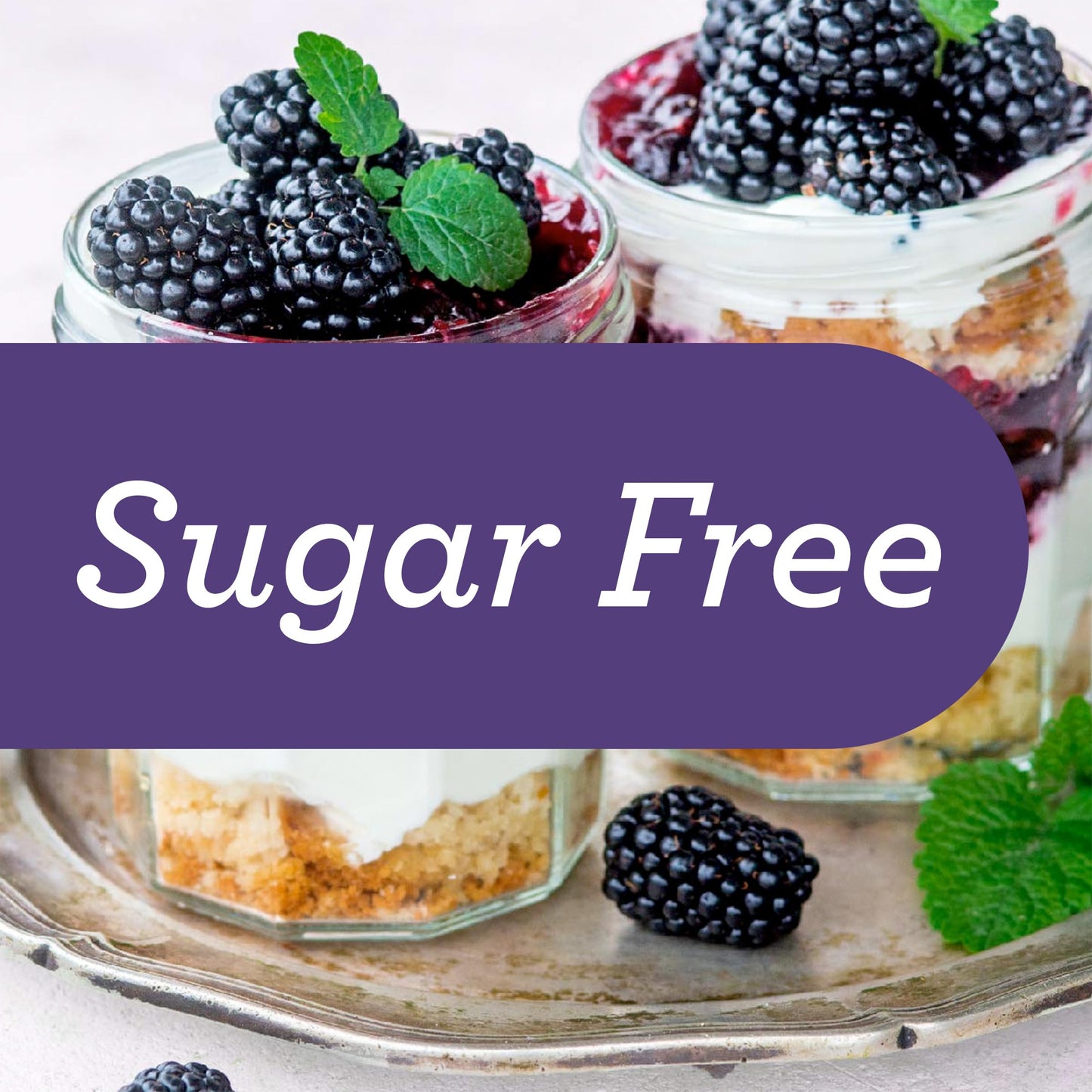 Skinnygirl Sugar Free Preserves, Blackberry Mule, 10 Ounce (Pack of 6), Brown