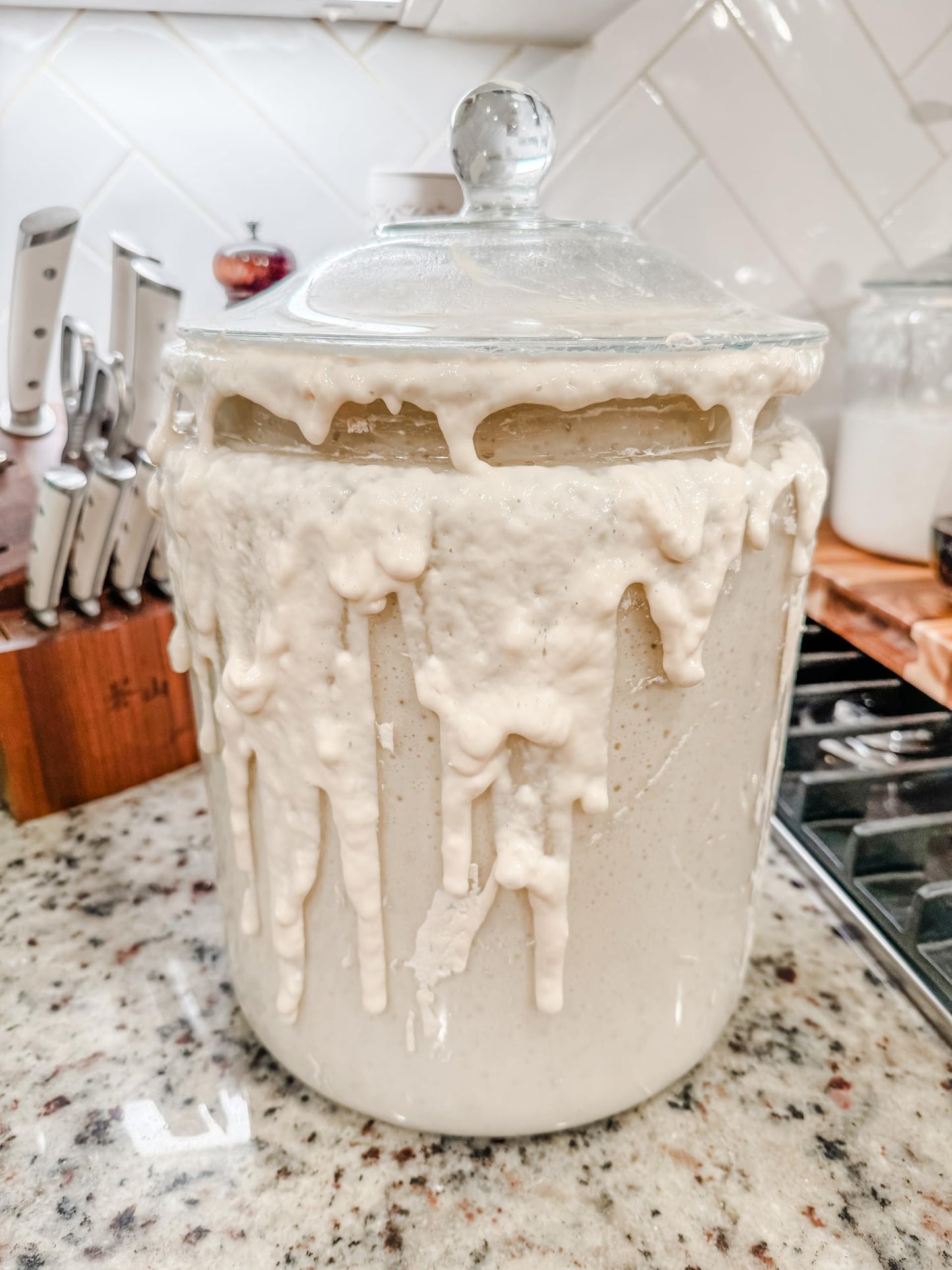 Eve - The Southern Sourdough Co. Dehydrated Sourdough Starter | 10 grams of Beginner Friendly Sour Dough Starter | Easy Fast Act