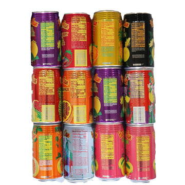 Hawaiian Sun Juice Drinks Ultimate Variety Pack Of 12
