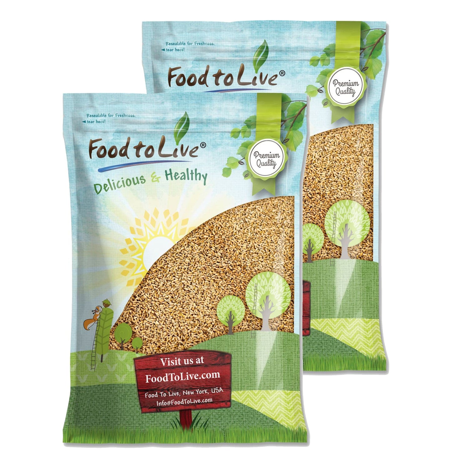 Food to Live Hard Red Wheat Berries, 20 Pounds - Sprouting for Wheatgrass, Kosher, Raw, Vegan, Bulk