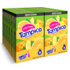 Tampico Singles To Go Drink Mix Packets,Citrus Punch, Zero Sugar, Low Calorie, 100% DV of Vitamin C per Serving, Convenient, On-
