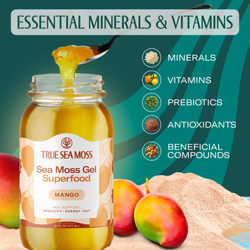 TrueSeaMoss Sea Moss Gel - Made in USA - Wildcrafted Seamoss, Fruits & Jarred Vegetables - Mango, Pack of 2 (Labels may Vary)