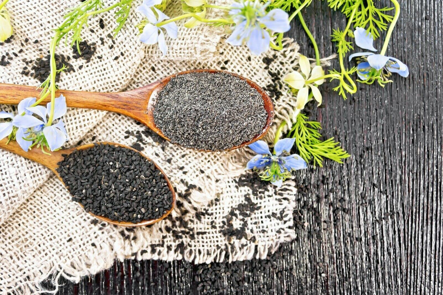 Black Cumin Seed Powder Ground 2 Lbs. Bulk - Nigella Sativa - Kalonji 100% Pure Natural Herb Spice.