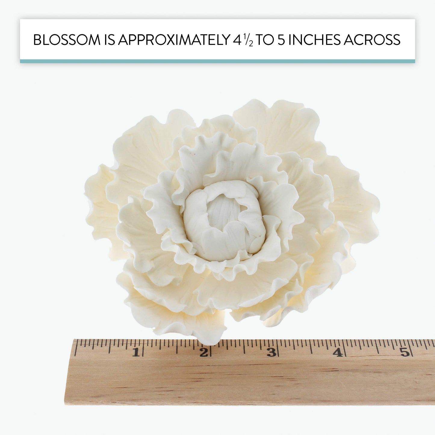 Global Sugar Art Premium Peony Sugar Cake Flower, White, Large, 1 Count By Chef Alan Tetreault