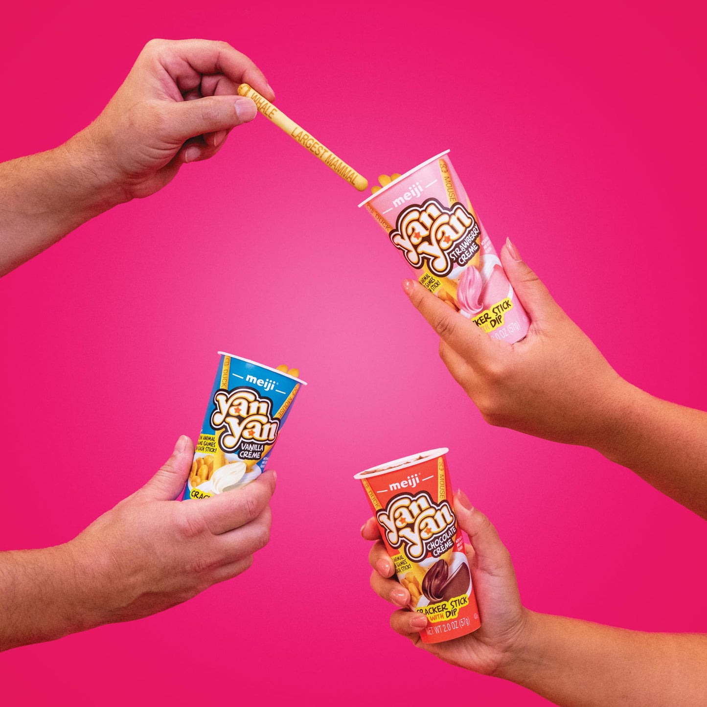 Meiji Yan Yan Dipping Sticks, Strawberry Crème - 2 Oz, Pack Of 10 - Cracker Sticks With Fun Animals Phrases