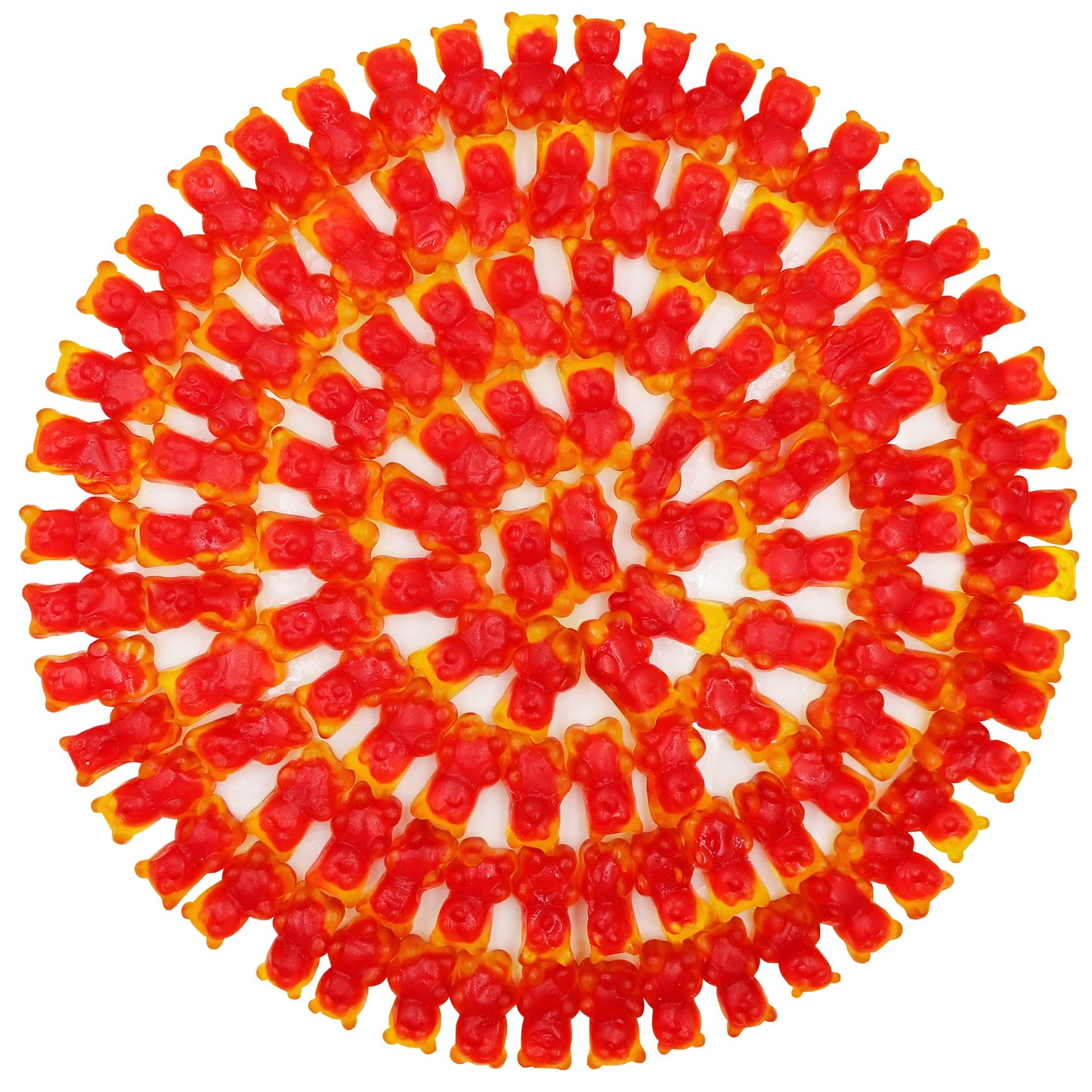 FirstChoiceCandy Gummy Bears (Jelly Filled, 2 Pound (Pack of 1))