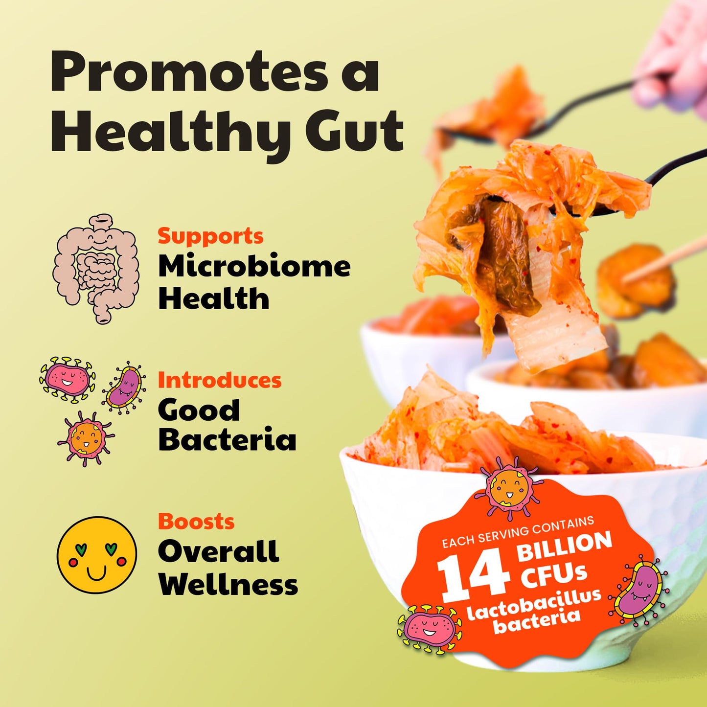 Olive My Pickle Fermented Kimchi Variety Pack - 48 oz | Classic, Cucumber & Daikon Radish Kimchi | Probiotic Gut Health, 3 Pack