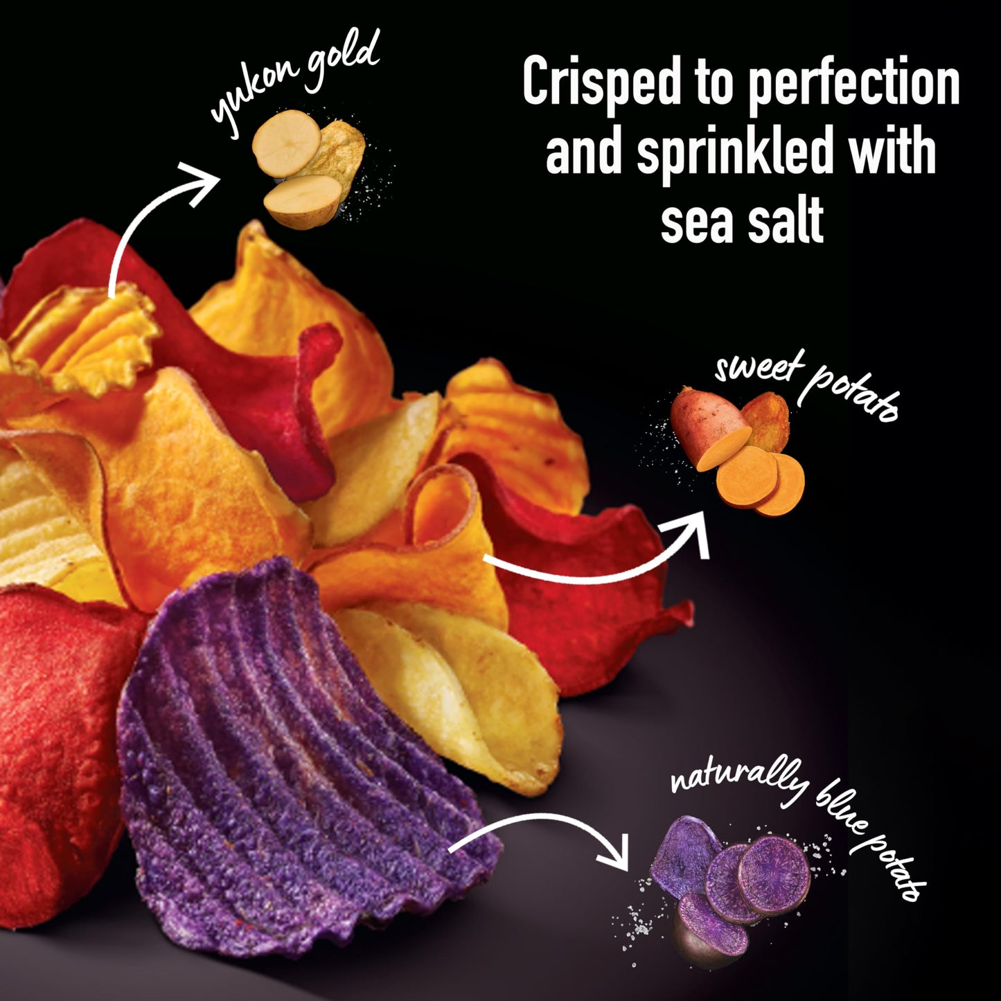 Terra Vegetable Chips, Exotic Potato with Sea Salt, 5 oz. (Pack of 12), Black