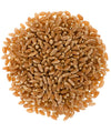Mader Family Grown Hard Red Spring Wheat Berries: Palouse Brand, Non-Gmo, Kosher, Bulk