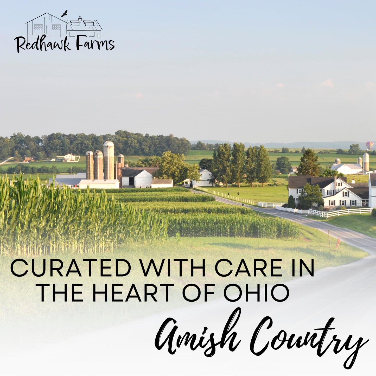 Redhawk Farms Mild Pickled Quail Eggs - Fresh Quail Eggs Hard Boiled & Pickled In A Flavorful Vinegar Brine - Gourmet Snacks & G