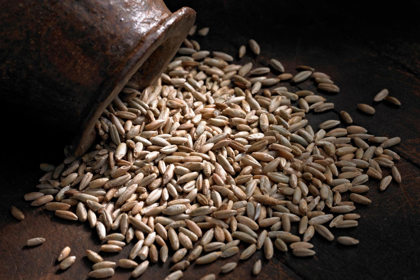 Organic Rye Berries 10 Lb Bulk – Whole Grain Seeds, Non-Gmo, Kosher, Raw, Usa Grown – Great For Baking, Milling, Sprouting & Long-Term Storage
