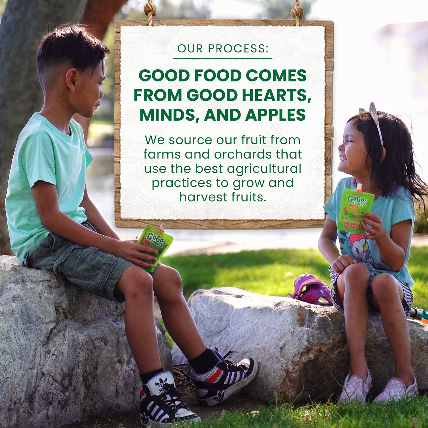 Gogo Squeez Fruit On The Go, Apple Cinnamon, 3.2 Oz (Pack Of 18), Unsweetened Fruit Snacks For Kids, Gluten Free, Nut Free And D