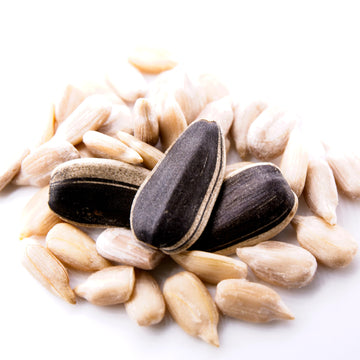 Crazy Nuts | Usa Grown Raw Sunflower Seeds In Shell, 5Lb | Sunflower Seeds To Eat, Unsalted Sunflower Seeds, Semillas De Girasol