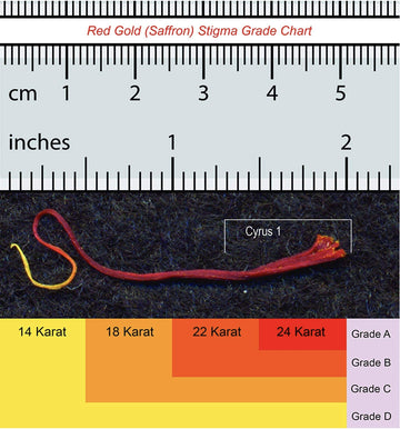 Cyrus Saffron Spanish Saffron 100% Pure Coupe 2 Gram - Aragon Spain