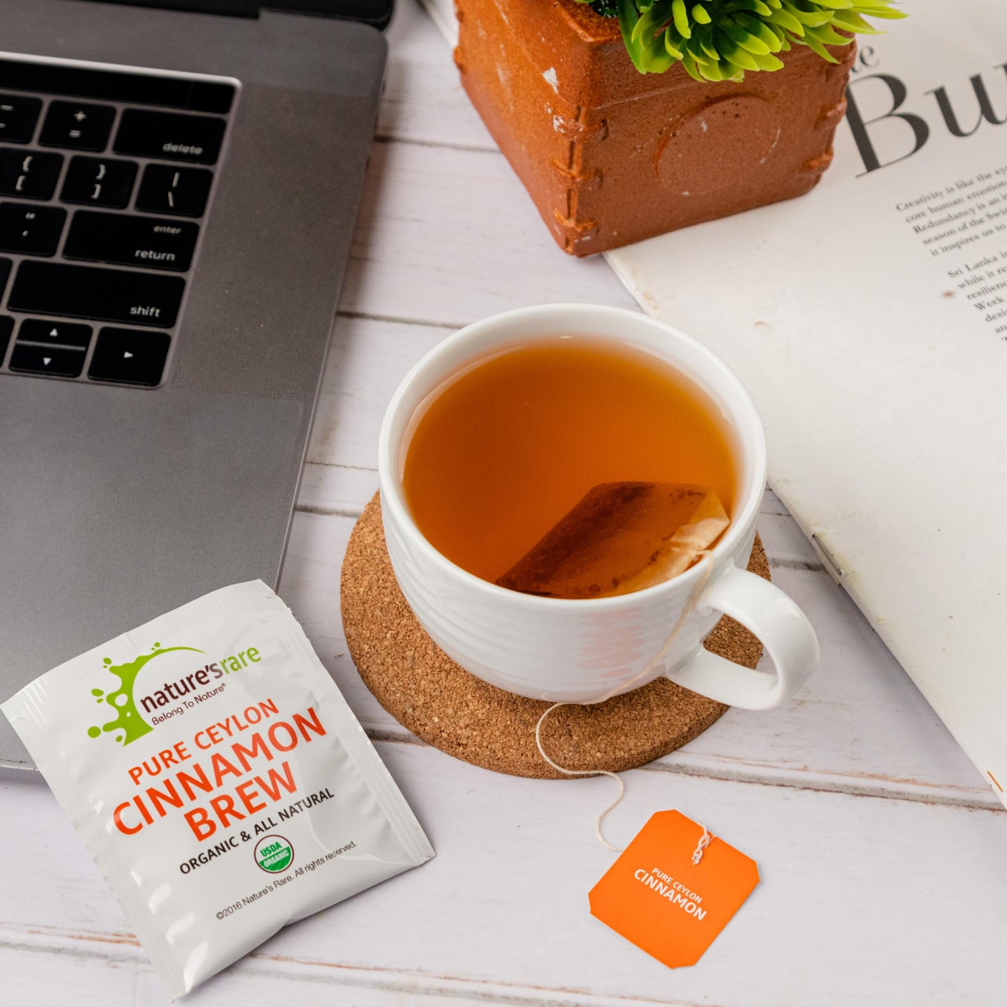Natures Rare Organic Ceylon Cinnamon Tea Bags - 40 Count (Pack of 2)
