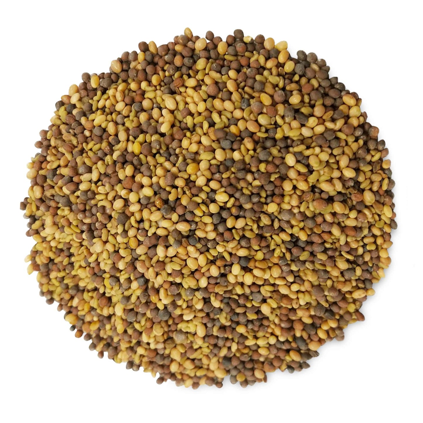 Food To Live - Antioxidant Mix Of Sprouting Seeds, 8 Ounces — Broccoli, Clover, Alfalfa, Kosher, Raw, Vegan