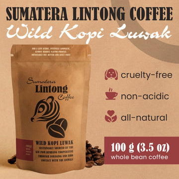 Wild Kopi Luwak, The Worlds Most Exclusive Coffee, Sustainably Sourced From Sumatra, Indonesia (100Gr / 3.5Oz)