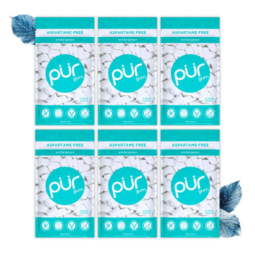 Pur Gum | Aspartame Free Chewing Gum | 100% Xylitol | Natural Wintergreen Flavored Gum, 55 Pieces (Pack Of 6)