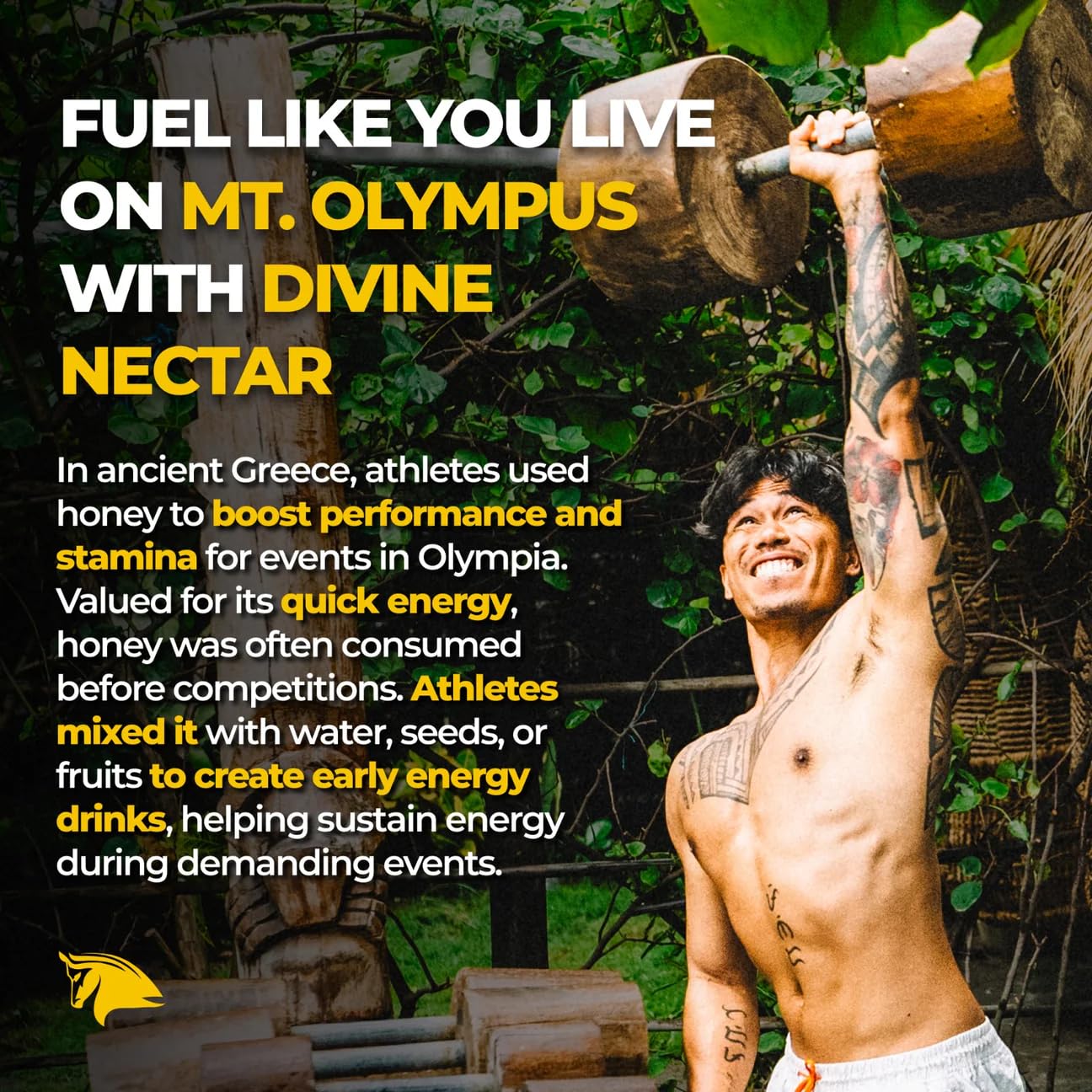 Divine Nectar Spartan Bee Bread Infused Heather Honey | Supercharged Performance, Recovery, And Vitality | 100% Raw And Pure