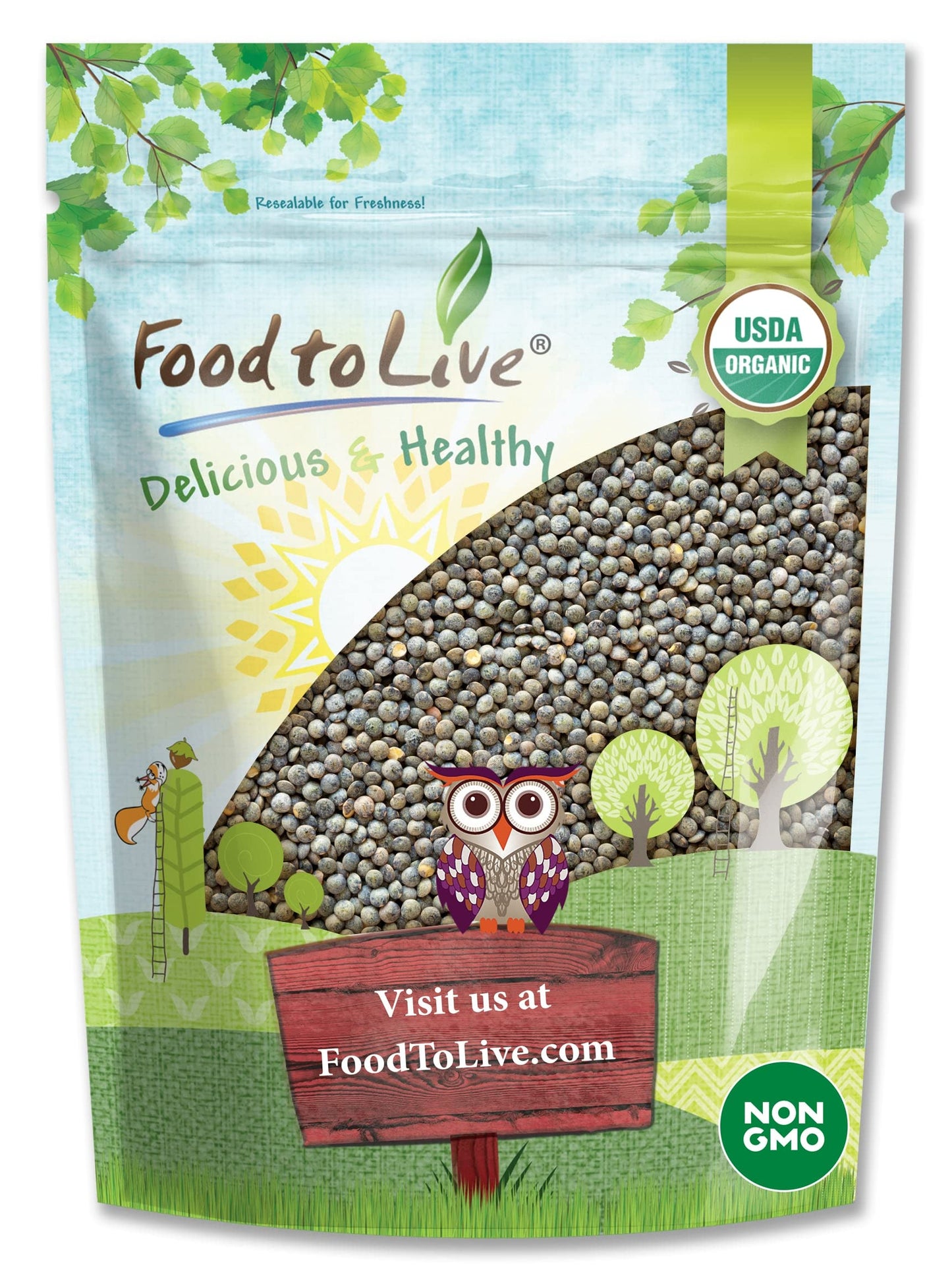 Food to Live Organic French Green Lentils, 1 Pound - Non-GMO, Whole Dry Beans, Raw, Sproutable, Vegan, Kosher, Bulk. Rich in Fol