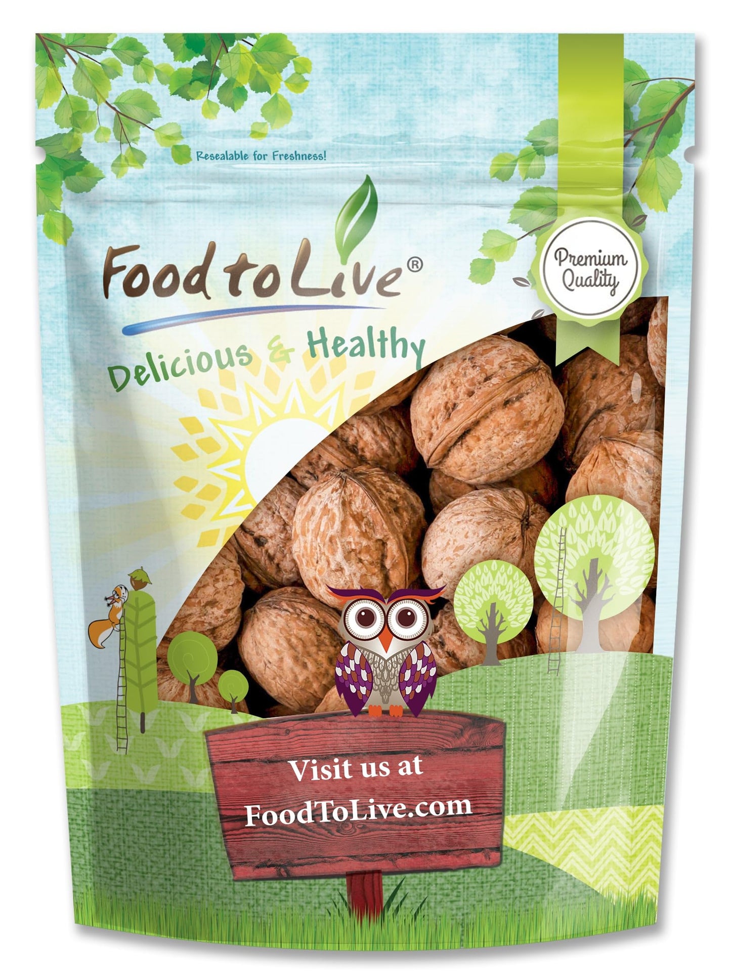 Food to Live Jumbo Walnuts in Shell, 1 Pound - California Chandler Variety. Rich in Omega-3s and Antioxidants. Keto-Friendly, Fr
