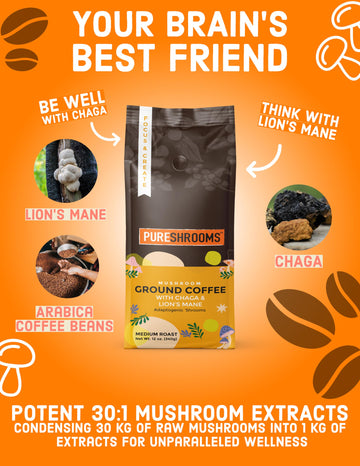 Mushroom Ground Coffee W/Ultra Concentrated 30:1 Organic Lion'S Mane & Chaga. Medium Roast - Focus Boosting Coffee (Focus & Crea