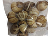 Premium Escargot Wild Burgundy Snails - Rated Number One - Best For Escargot Recipes, Various Sizes  (1 Dozen Shells)