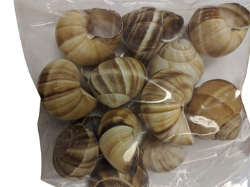 Premium Escargot Wild Burgundy Snails - Rated Number One - Best For Escargot Recipes, Various Sizes  (1 Dozen Shells)