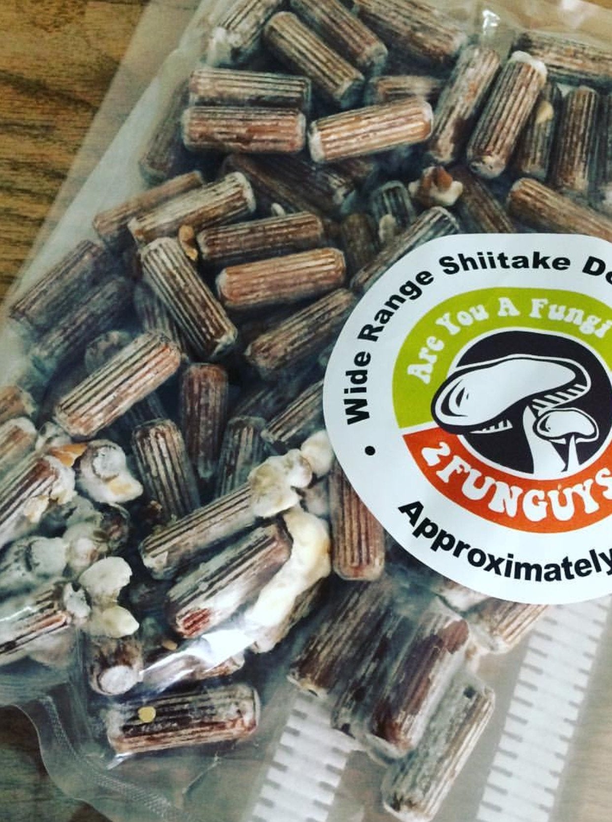 100 Shiitake 100 Mushroom Plug Spawn Edible Mycelium Plugs