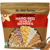 Be Still Farms Organic Hard Red Wheat Berries (4.8Lb) - Healthy Diet Whole Grains Bulk - Ideal For Soups, Salads, Flour, Bread -