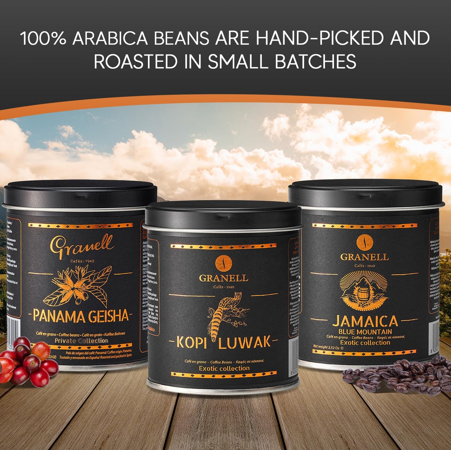 Caf  S Granell Kopi Luwak, Jamaica Blue Mountain & Panama Geisha Coffee 3 Pack Gift Set | Exotic Collection Fresh Whole Beans Qu